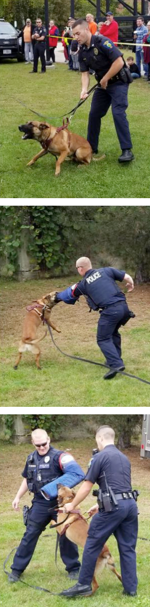 Maverick Training demonstration